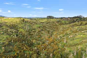600C Bickerstaffe Road, Maungaturoto