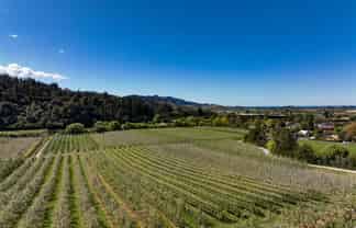 85 Brooklyn Valley Road, Riwaka