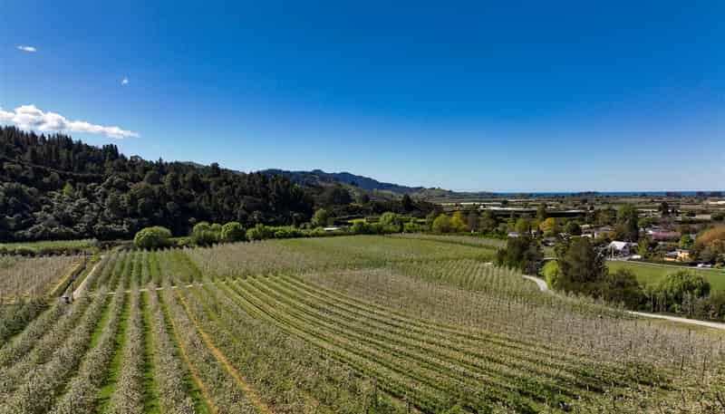 85 Brooklyn Valley Road, Riwaka