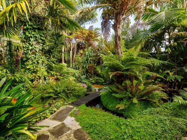 19 Metro Avenue, Nawton