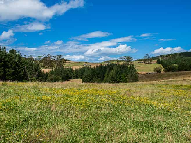 436A Glenmohr Road, Waipu