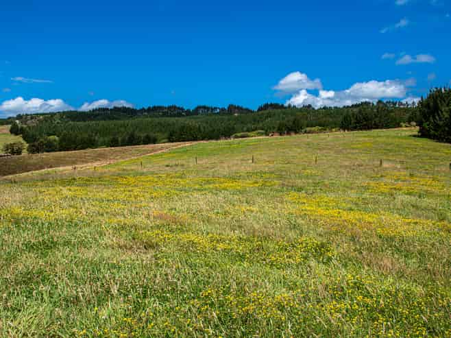 436A Glenmohr Road, Waipu