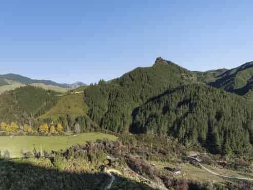 Graham Valley Road, Motueka Valley