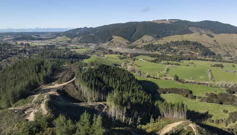 295 Graham Valley Road, Motueka Valley