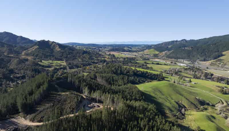 295 Graham Valley Road, Motueka Valley