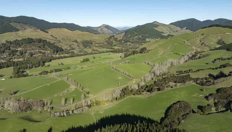 295 Graham Valley Road, Motueka Valley