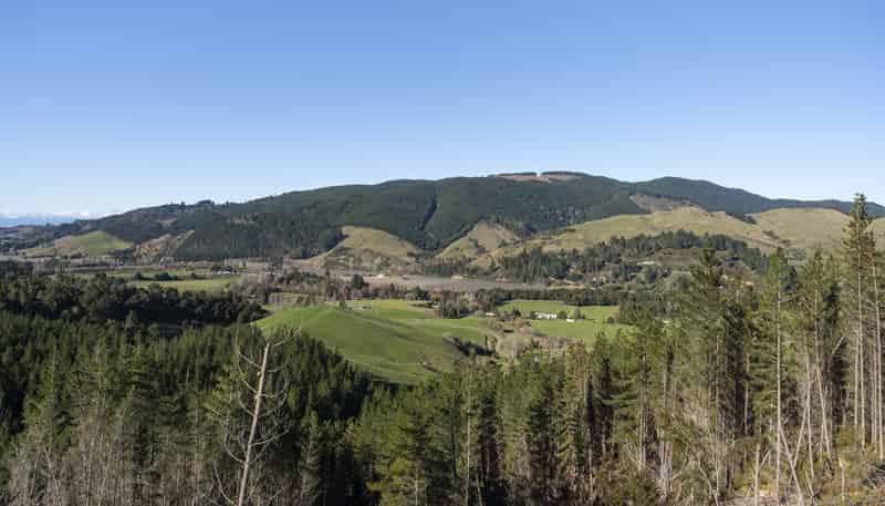 295 Graham Valley Road, Motueka Valley