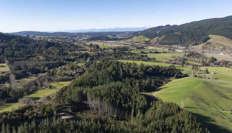 295 Graham Valley Road, Motueka Valley