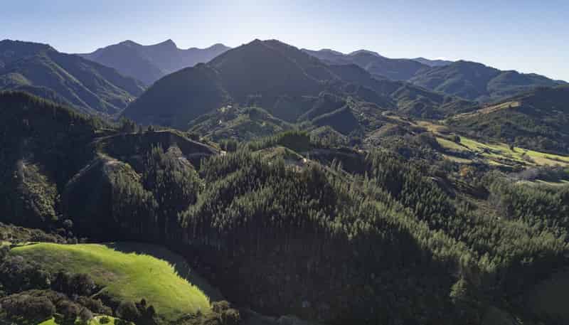 295 Graham Valley Road, Motueka Valley