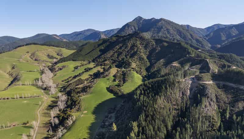 295 Graham Valley Road, Motueka Valley