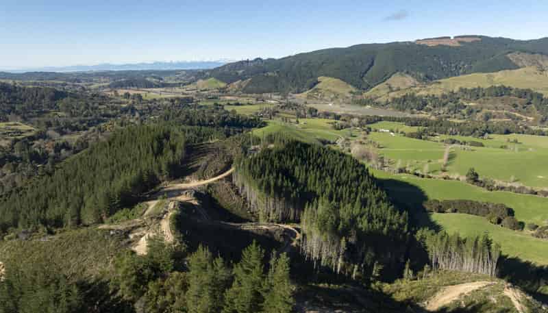 295 Graham Valley Road, Motueka Valley