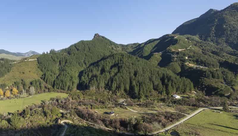 295 Graham Valley Road, Motueka Valley