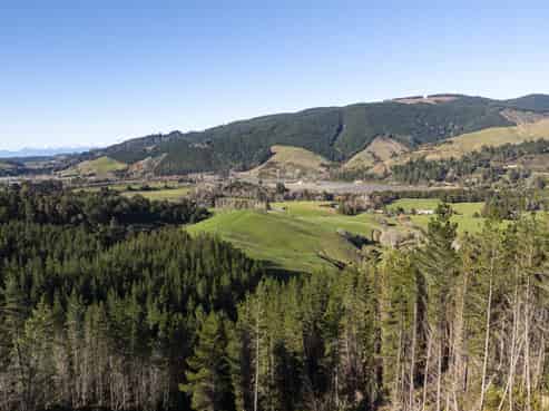  Graham Valley Road, Motueka Valley