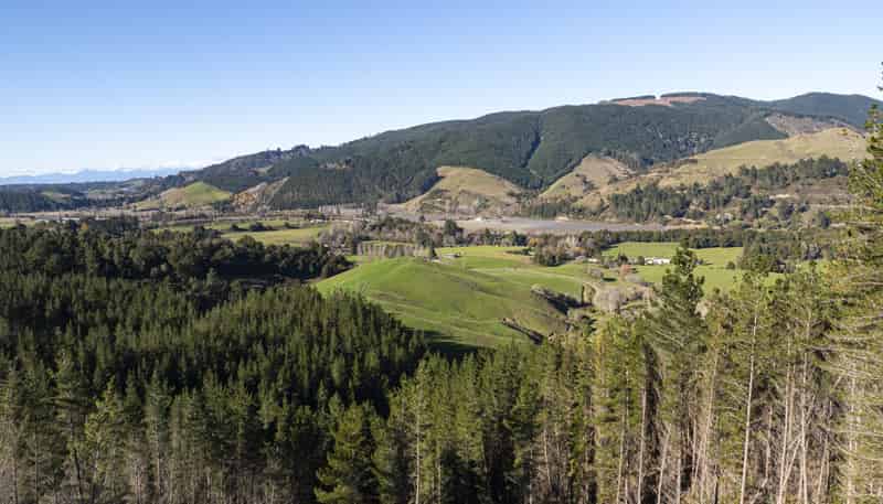 295 Graham Valley Road, Motueka Valley