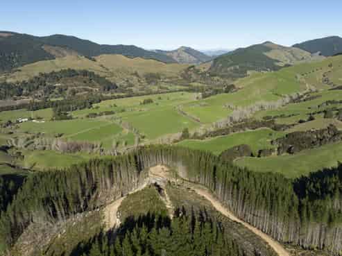  Graham Valley Road, Motueka Valley