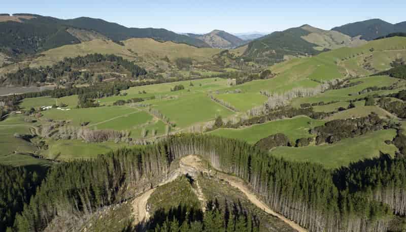 295 Graham Valley Road, Motueka Valley