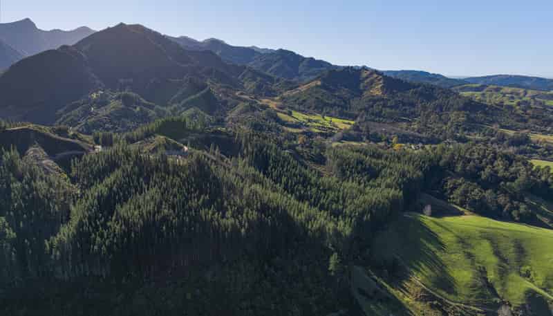 295 Graham Valley Road, Motueka Valley