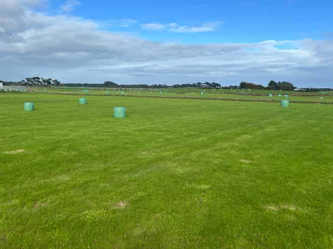 Lot 16/110 Orr Road, Waimatua