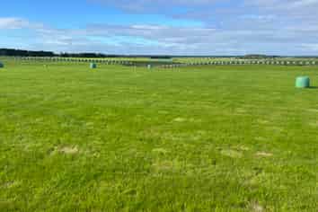 Lot 16/110 Orr Road, Waimatua