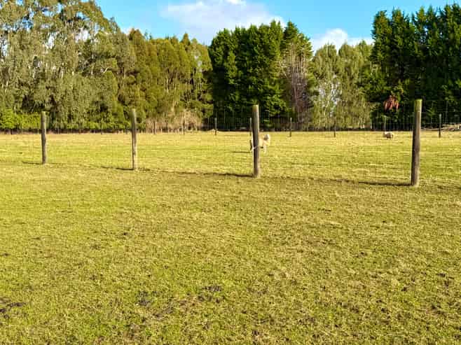 173 Drysdale Road, Myross Bush