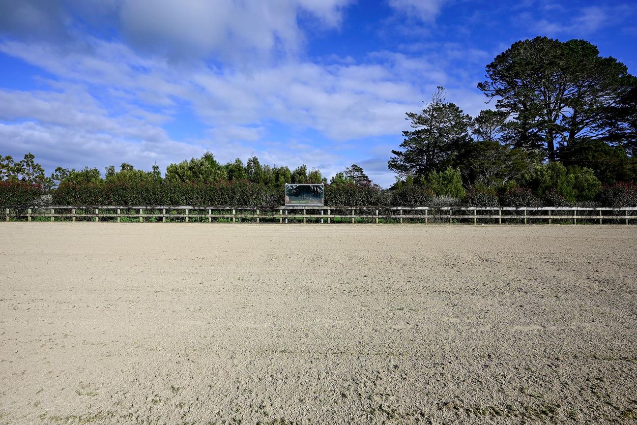 Dream Equestrian/Home Business! - Ansicht 3