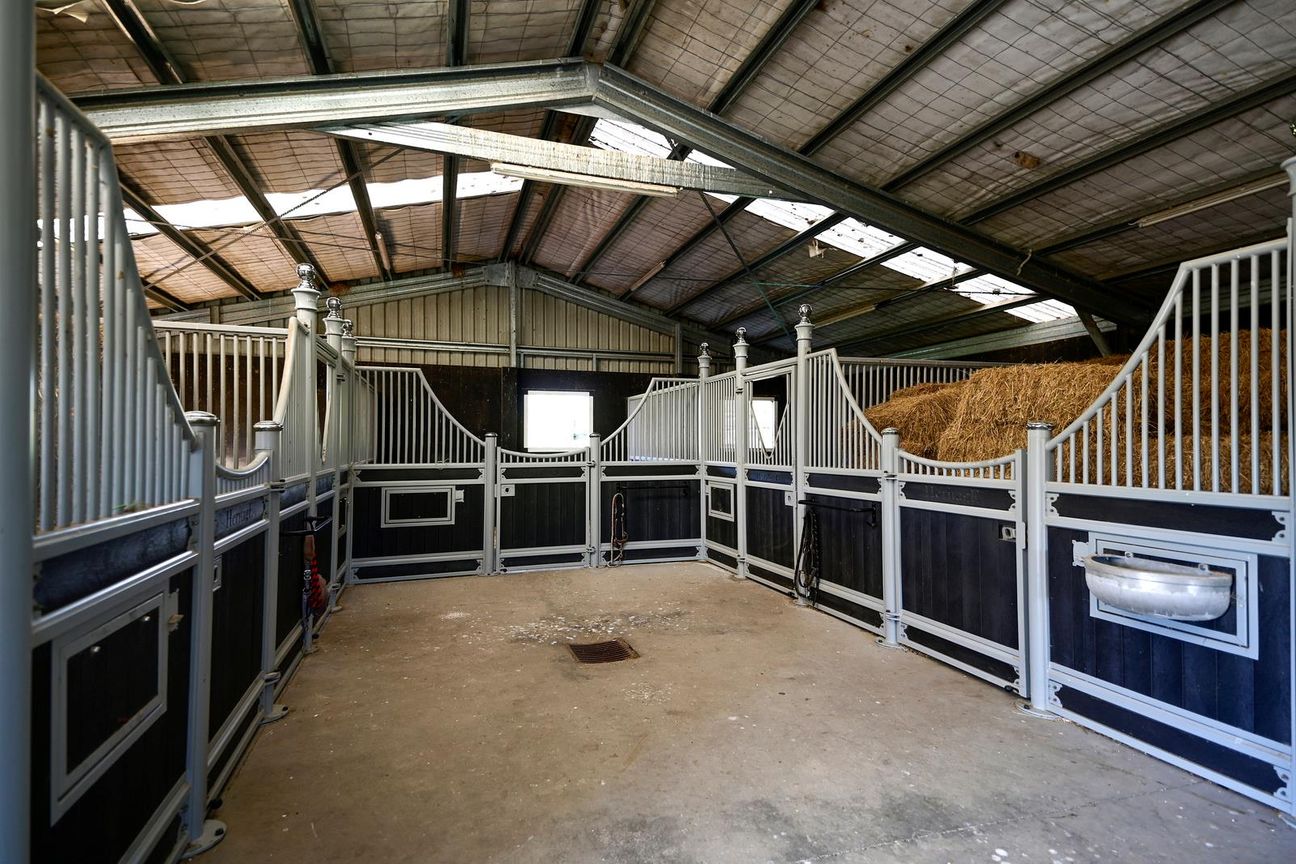 Dream Equestrian/Home Business! - Ansicht 2
