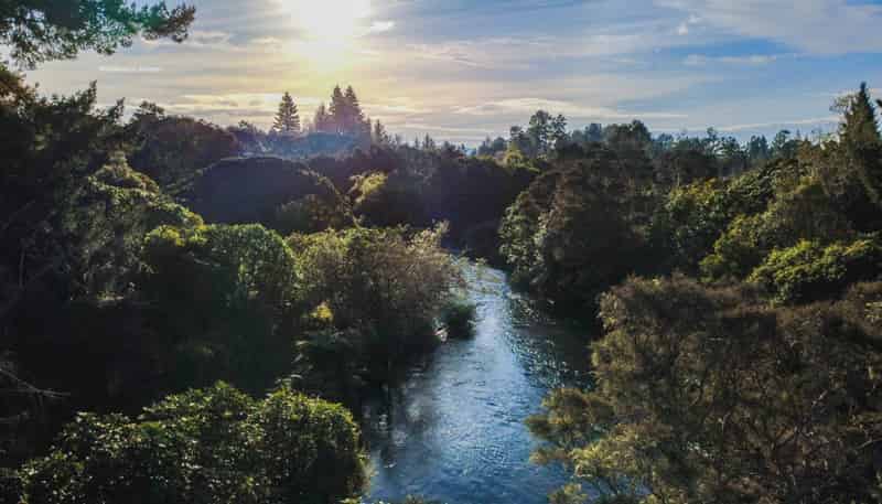 29 Mill Road, Waitahanui