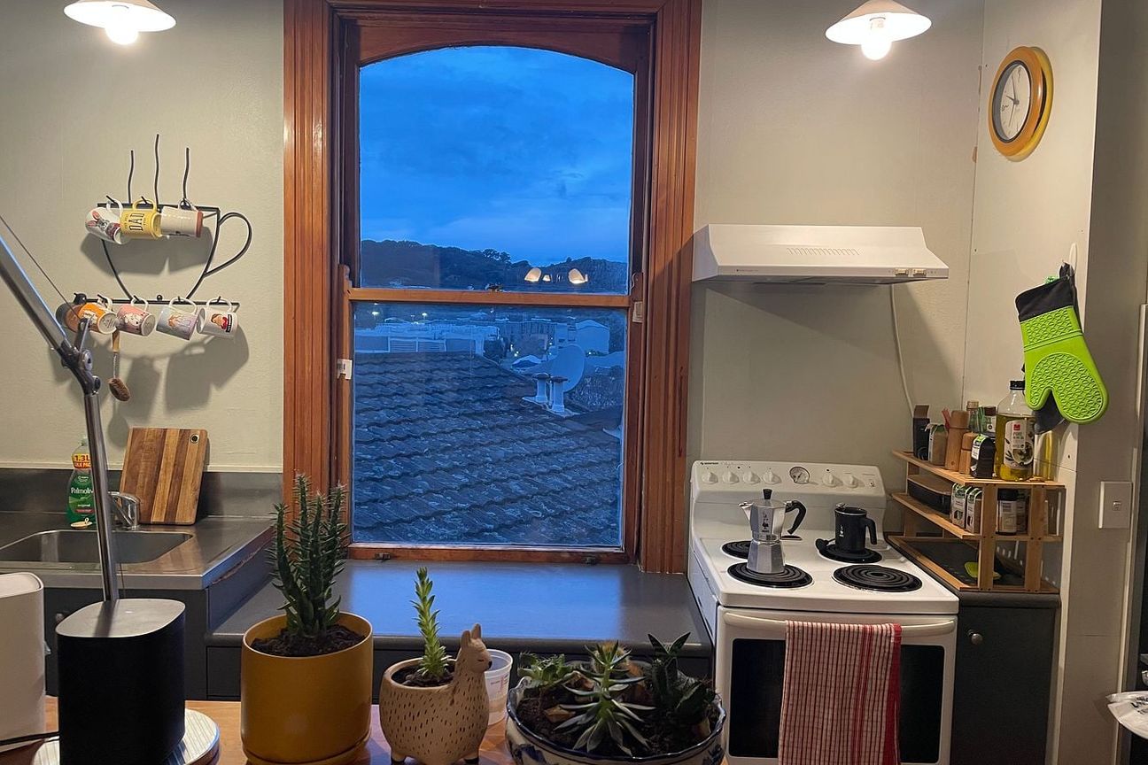 Mount Cook Gem: harbour views, walk/cycle to work - Widok 6