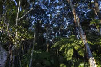 Otangaroa Road,, Kaeo
