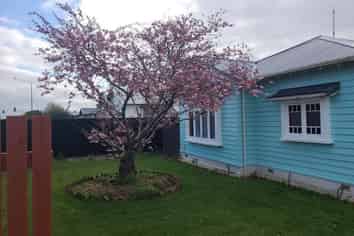 378 Tay Street, Turnbull Thomson Park