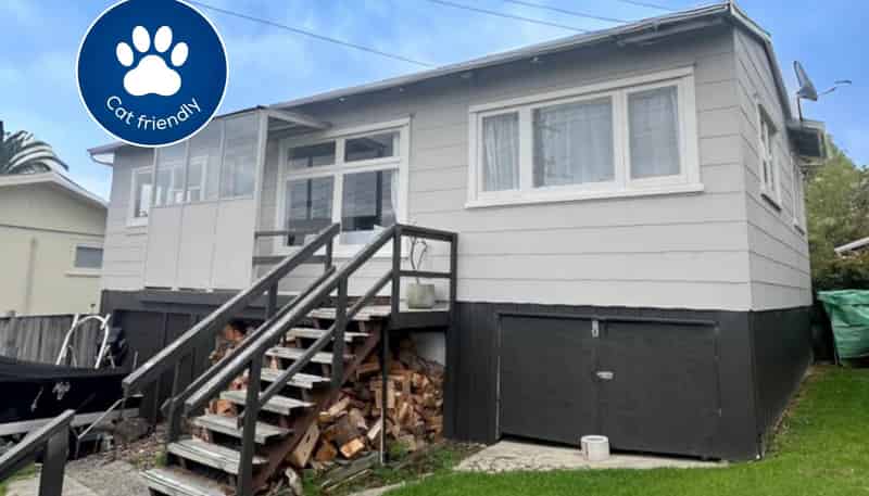 147 Vipond Road, Stanmore Bay