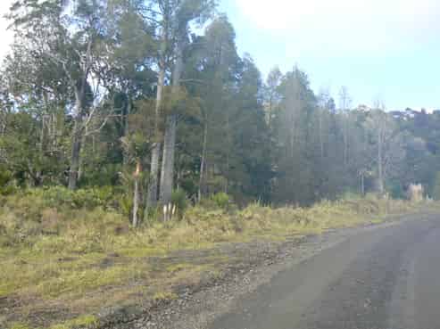  Jamieson Road, Omanaia