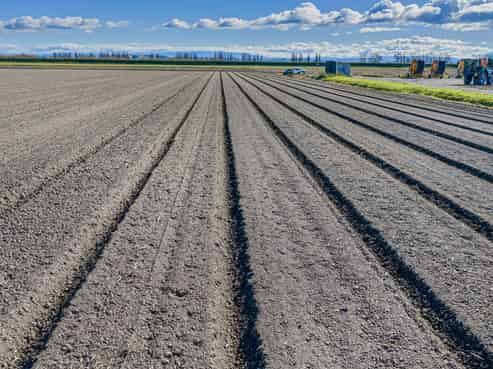 Large premium horticulture investment opportunity