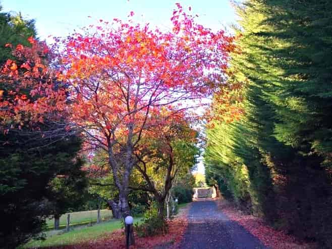Road Sun Tourist Lodge -  Mortgagee Sale