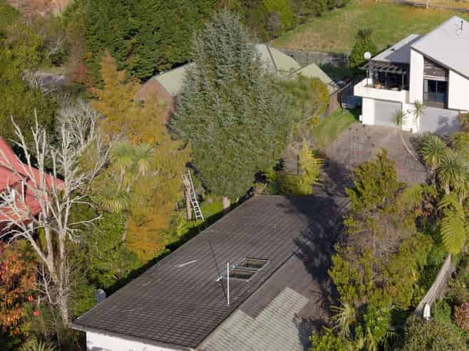 56A Moncur Drive, Springfield