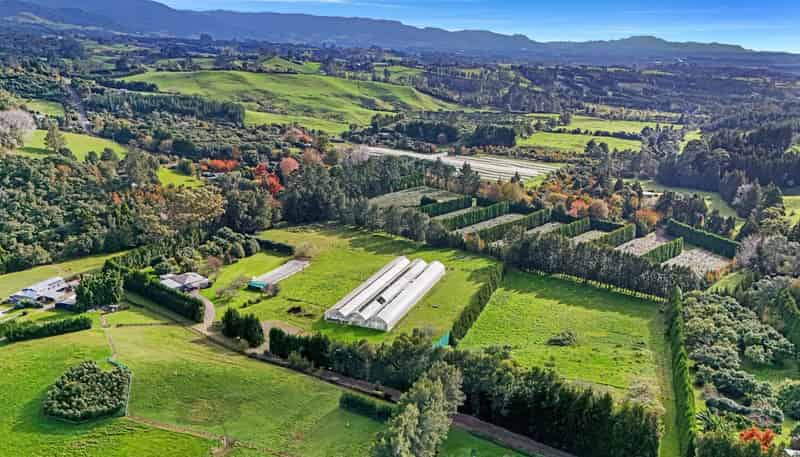 484C Wright Road, Aongatete