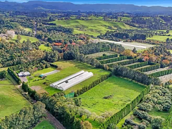 484C Wright Road, Aongatete