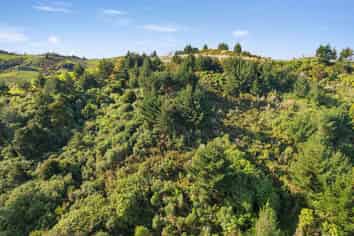 3044 Paparoa Oakleigh Road, Paparoa