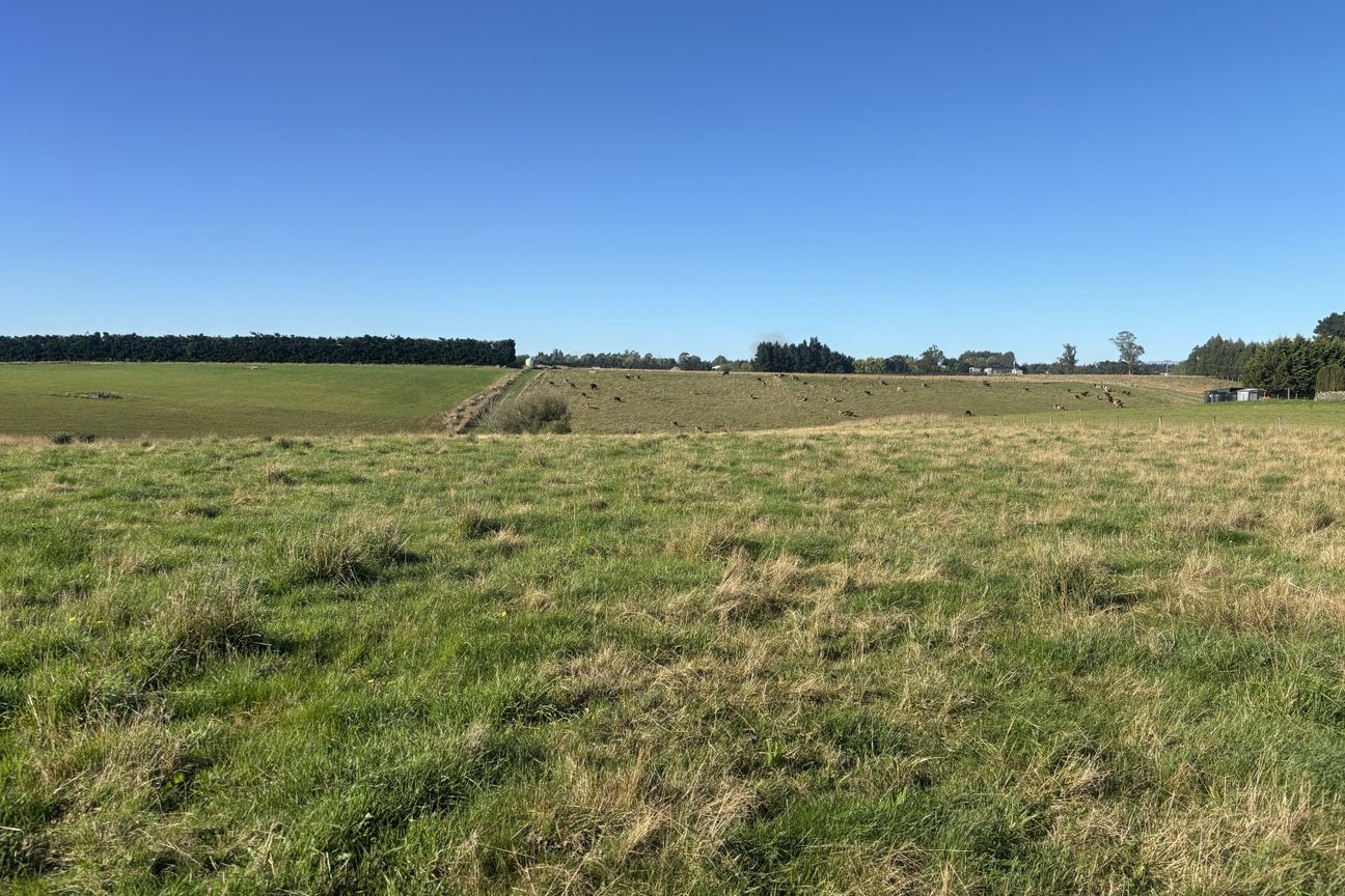Prime section for sale - Widok 5