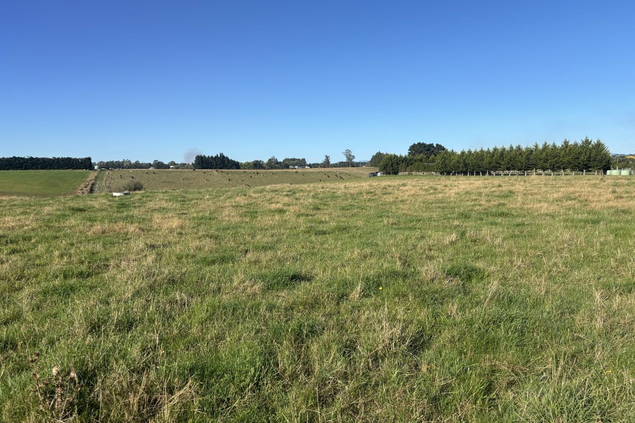 Prime section for sale - Widok 2