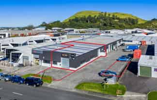 ST JOHNS INDUSTRIAL GOLD
