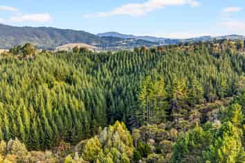 2552 Hunua Road, Hunua