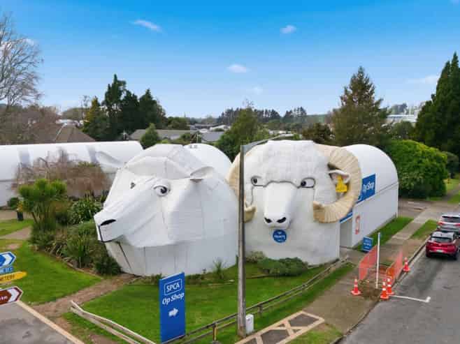 Own an iconic South Waikato tourism landmark