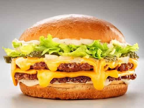 Burger Franchise | Sales $1.15m