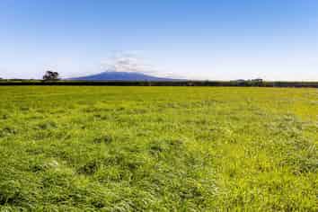 5B2A Hastings Road, Okaiawa