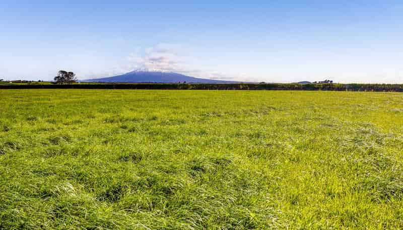5B2A Hastings Road, Okaiawa