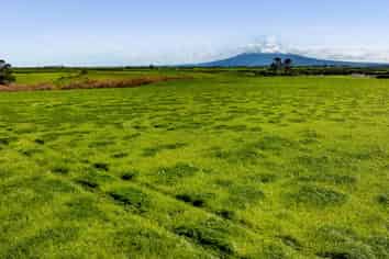 5B2A Hastings Road, Okaiawa