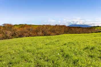 5B2A Hastings Road, Okaiawa