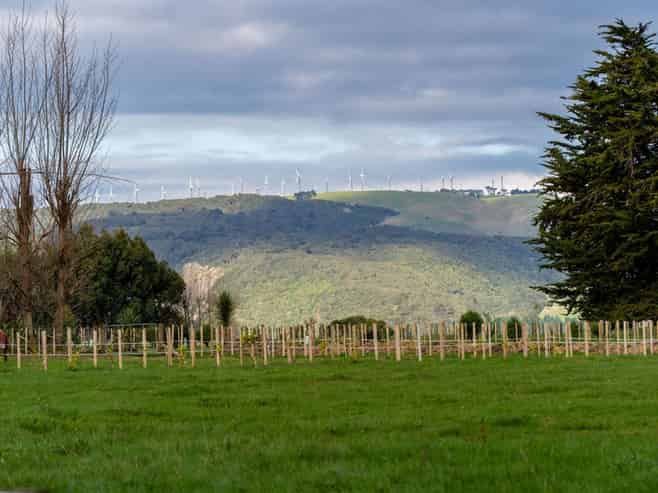 31 Grove Road Lot 4, Ashhurst