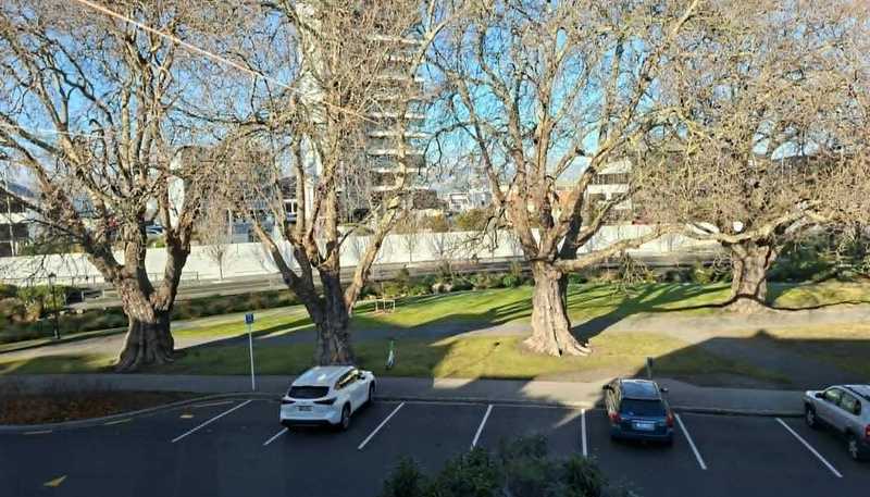  level 2/61 Cambridge Terrace, Christchurch Central